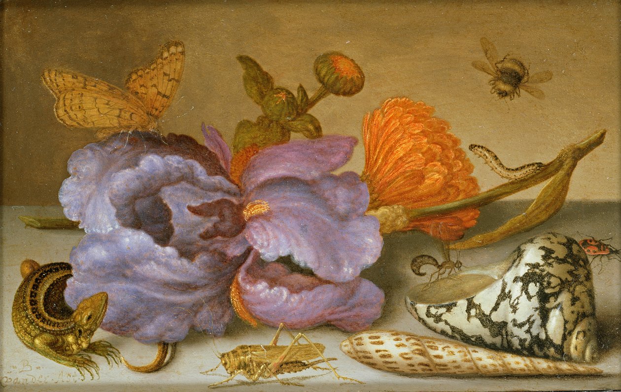 Still life depicting flowers, shells and insects by Balthasar van der Ast