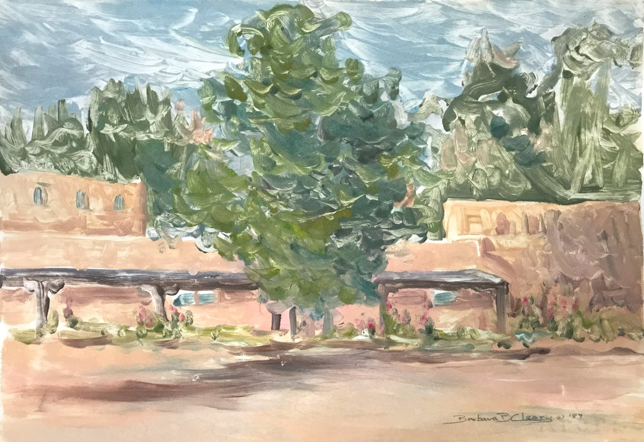 Adobe Serenity 2 by Barbara Cleary