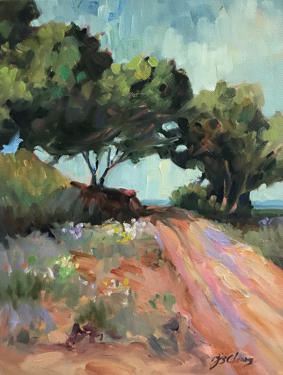 Kansas Road by Barbara Cleary