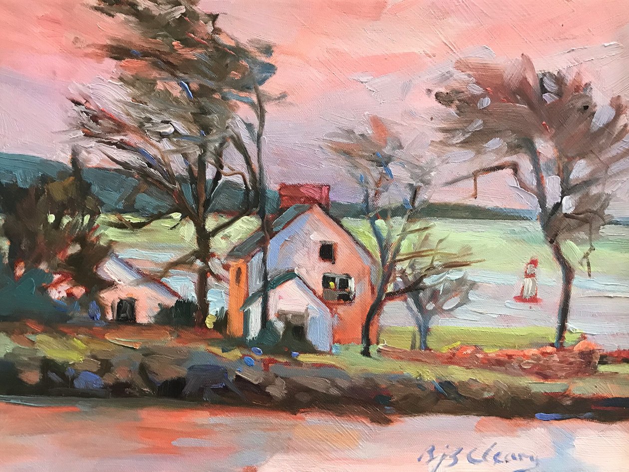 Pink Sky Maine by Barbara Cleary