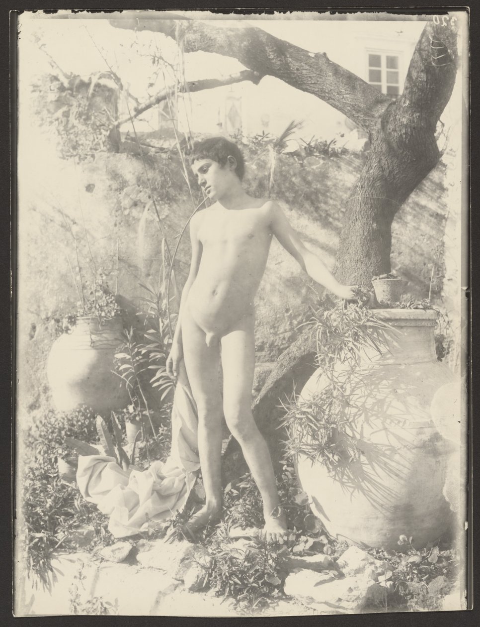 Nude Youth in Garden by Baron Wilhelm von Gloeden
