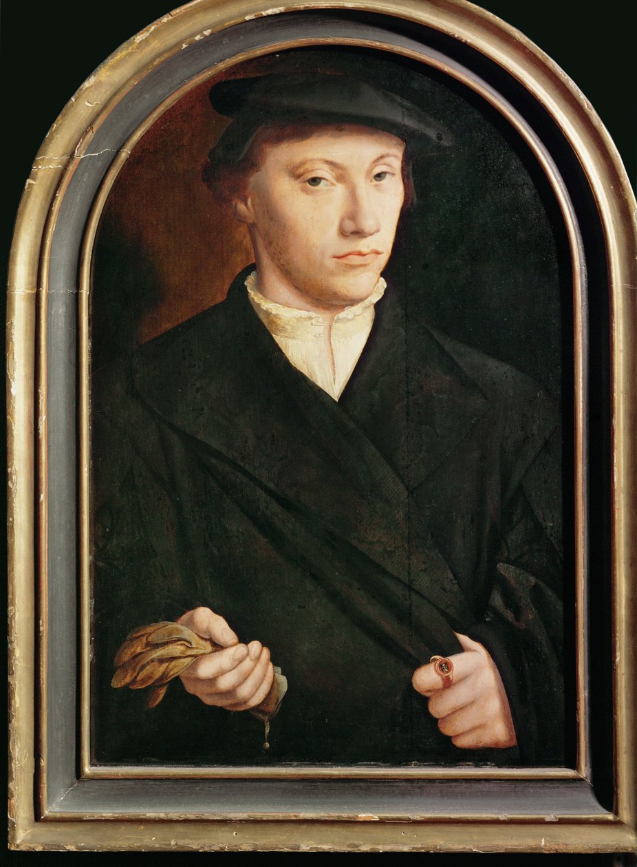 Portrait of a Young Man with Gloves by Bartholomaeus the Elder Bruyn