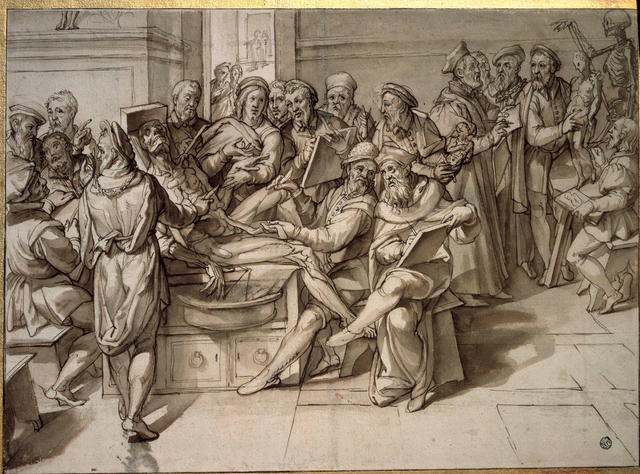 Anatomy lecture given by Michelangelo Buonarroti (Michelangelo) by Bartolomeo Passarotti