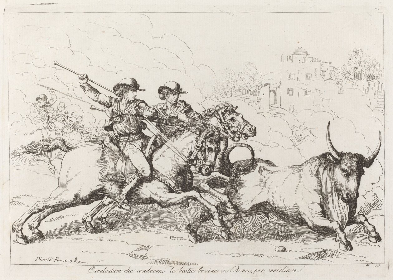 Cattle Driven to the Slaughter in Rome (Plate 16) by Bartolomeo Pinelli