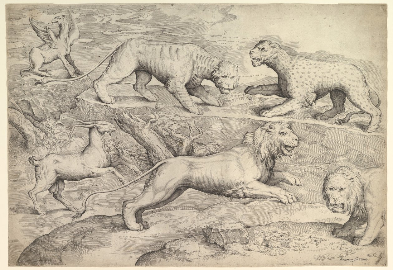 Six Animals, including lions, a tiger, a leopard, a griffin, and a goat, ca. 1530-61 by Battista Franco Veneziano