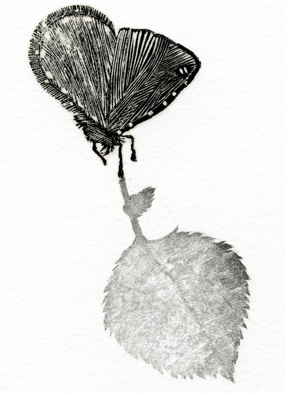 Suspense by Bella Larsson