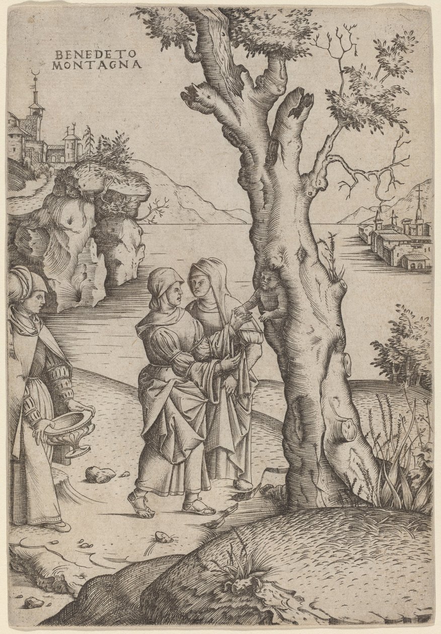 Birth of Adonis by Benedetto Montagna