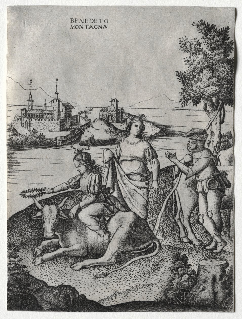 Rape of Europa by Benedetto Montagna