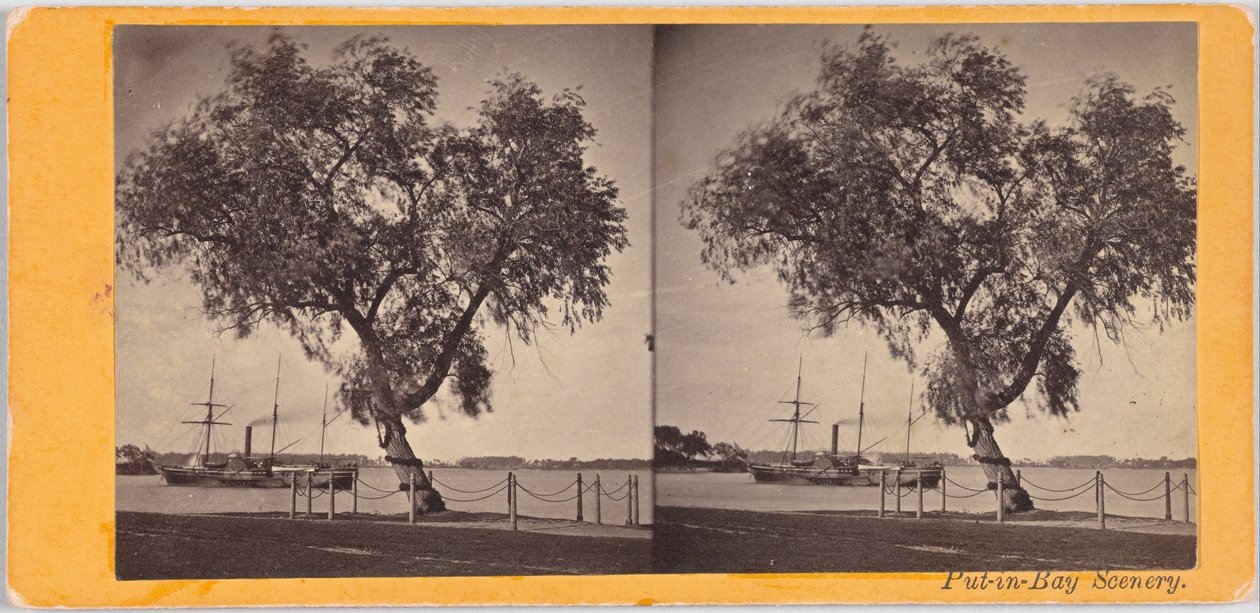Willow Tree. Planted by Com. Perry and Other Survivors of the Battle of Lake Erie, to Mark the Burial Place of the Slain. by Benedict