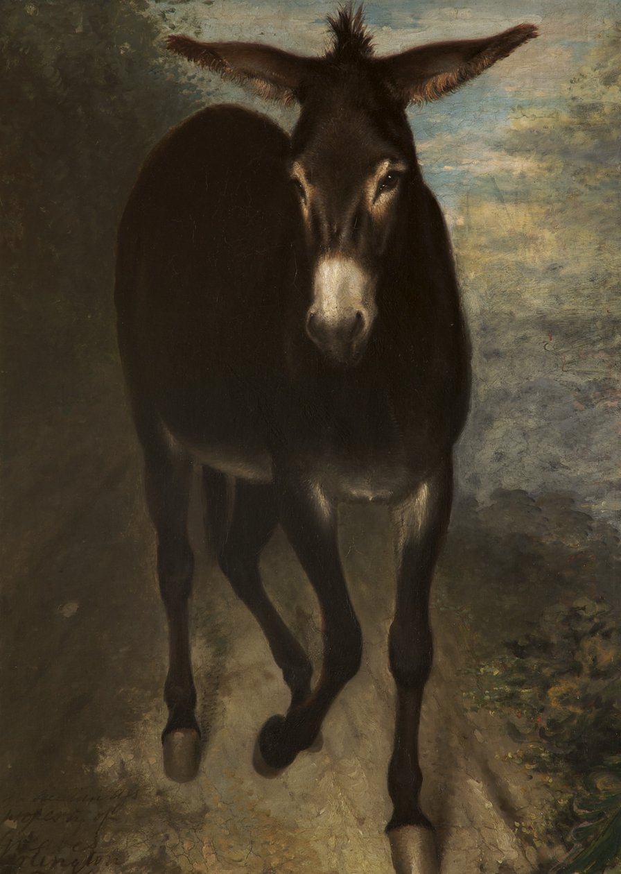 A Sicilian Ass by Benjamin Haydon: Buy fine art print