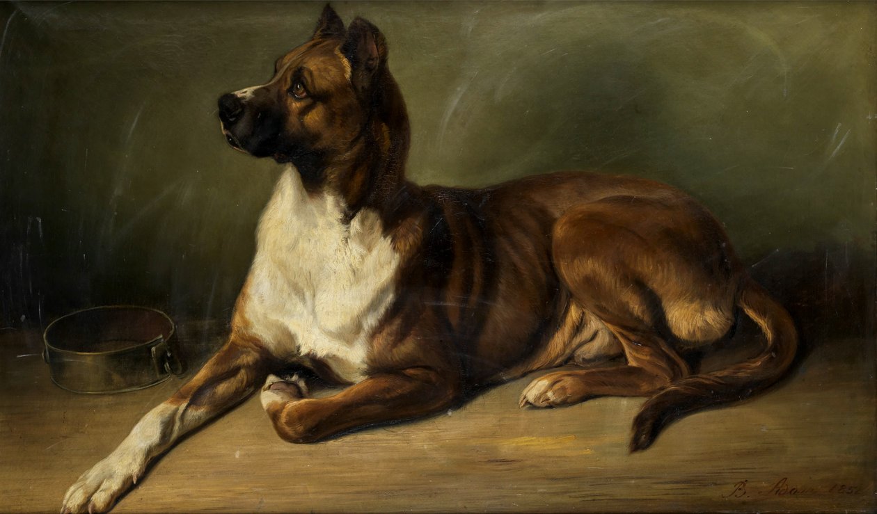 Portrait of a Dog 1852 by Benno Adam