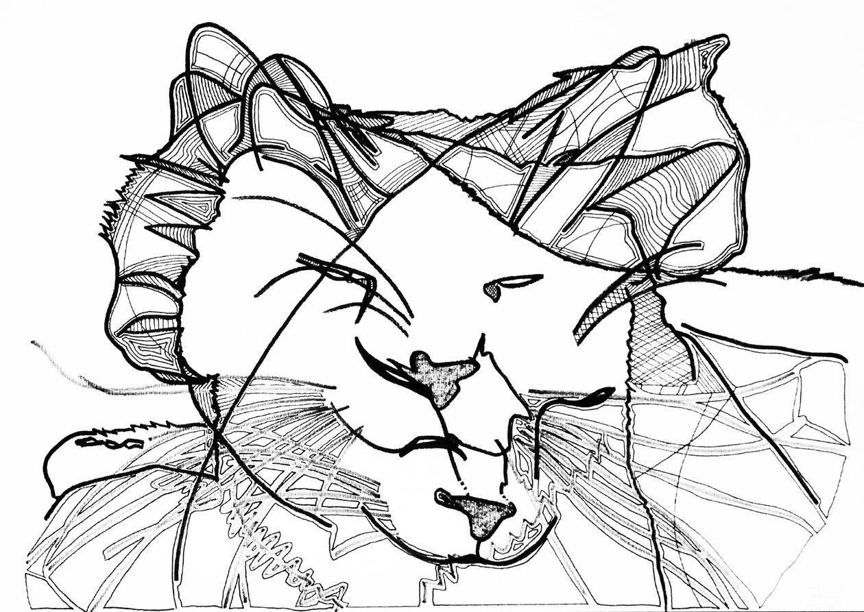 Double Cat, 2019 by Benoit Erwann Boucherot