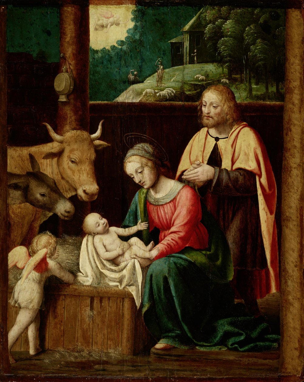 The Birth of Christ by Bernardino Luini