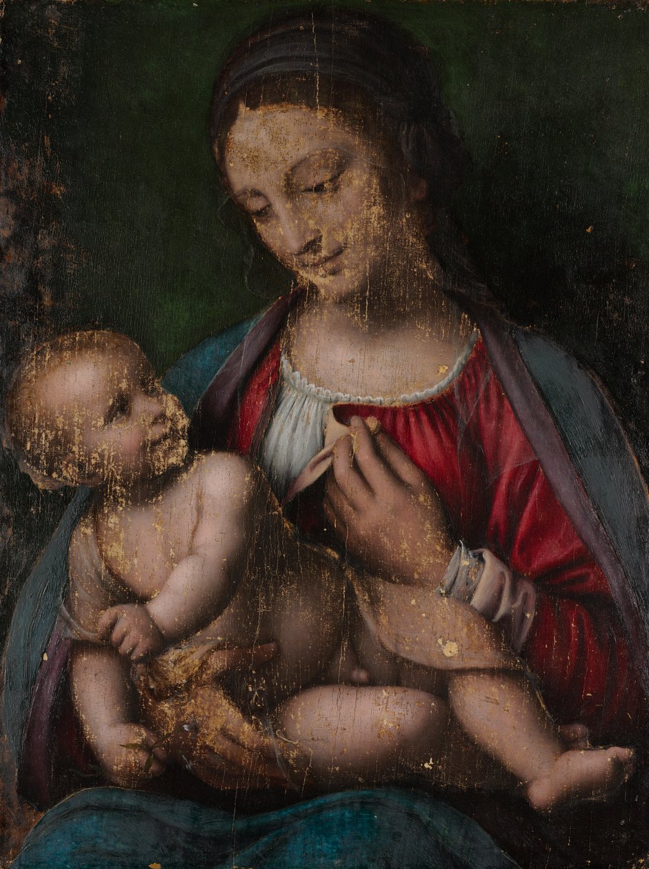 Virgin and Child, c.1500 by Bernardino Luini