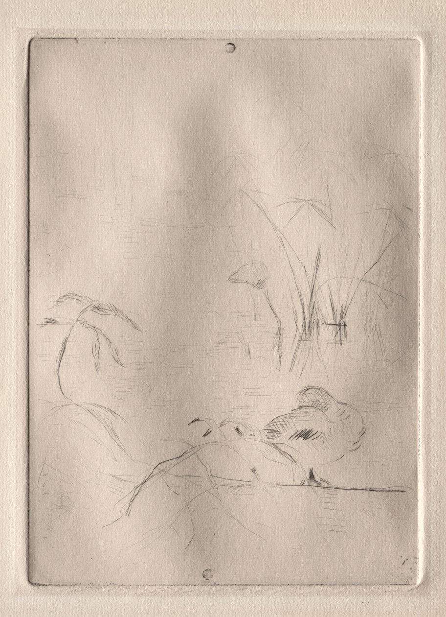 The Duck by Berthe Morisot