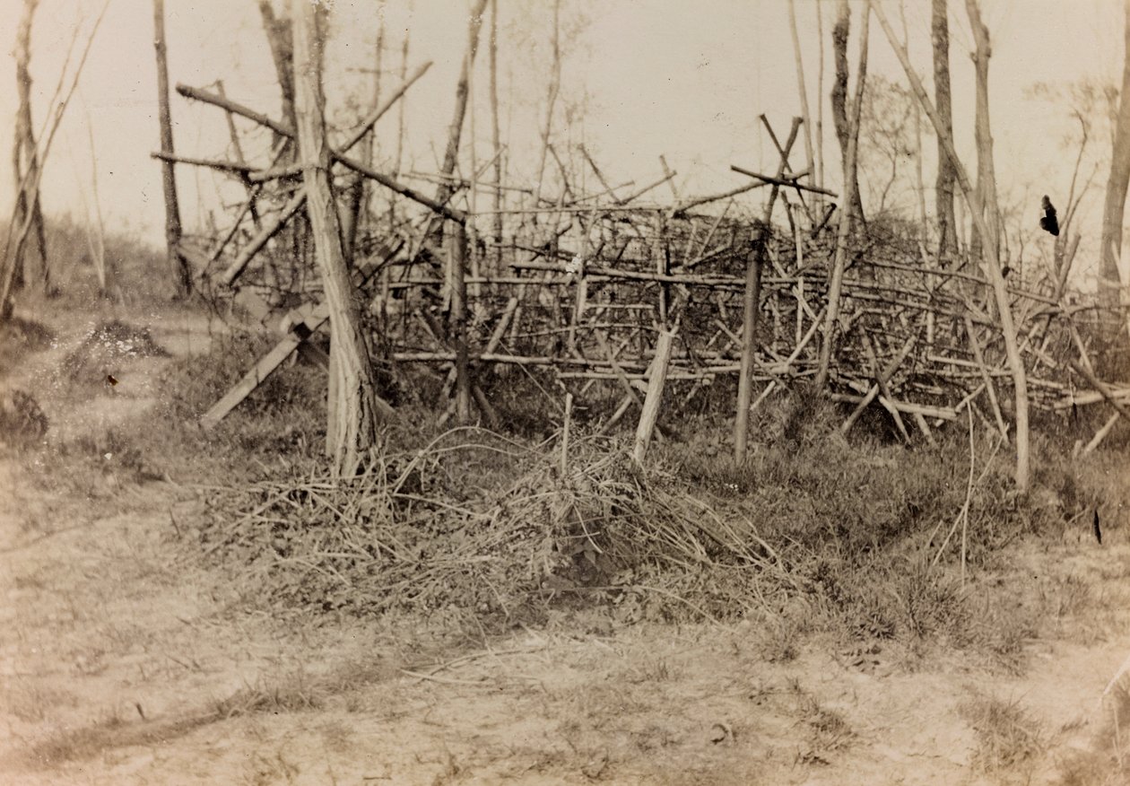 Album of the First World War in Friuli-Venezia Giulia: defensive obstacle (cavalli di Frisia), 05/1916 by Bertoni Bertoni