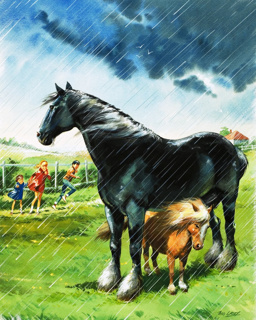 Foal Sheltering from Bad Weather Under Another Horse by Bill Lacey