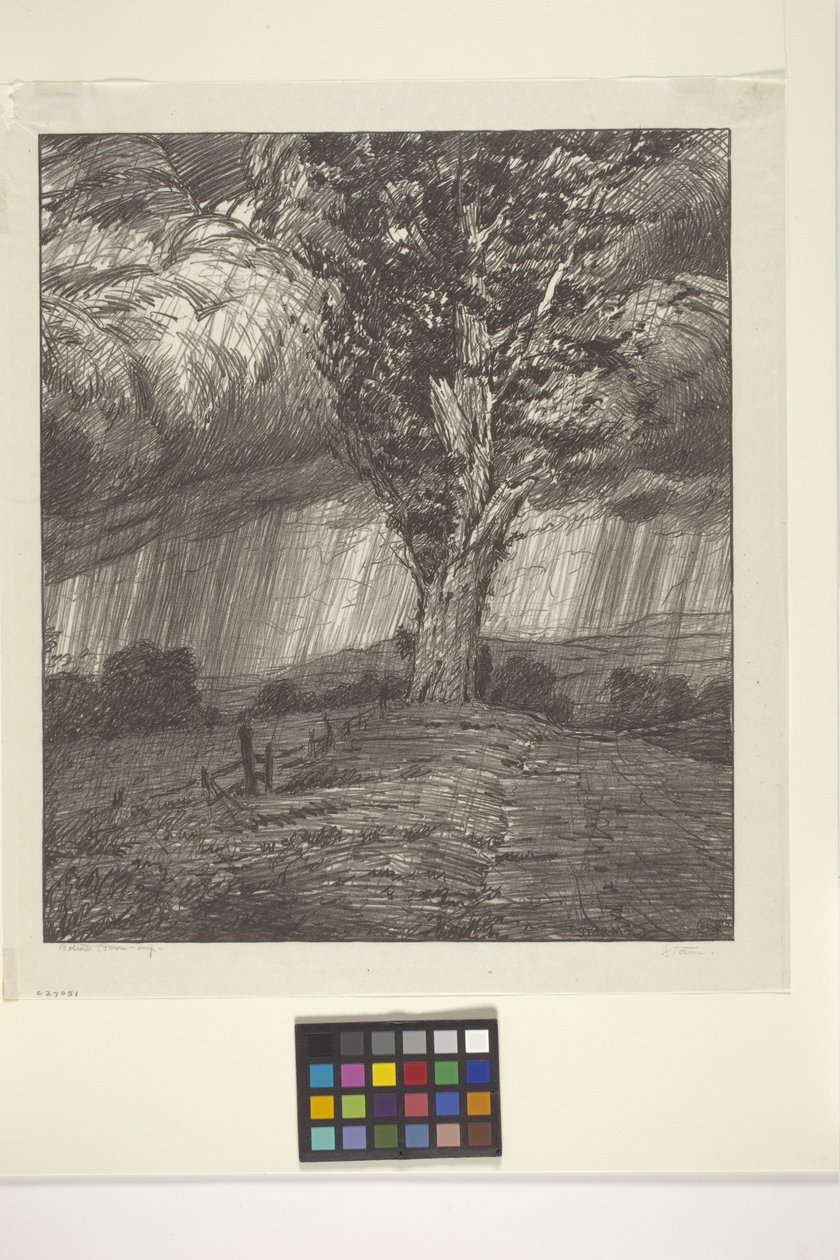Storm by Bolton Coit Brown