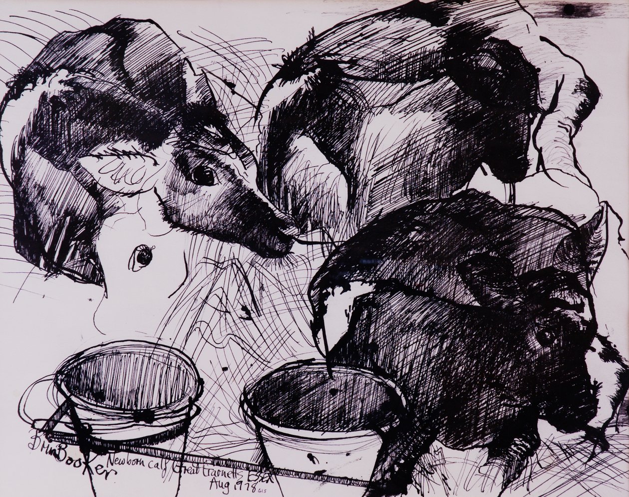 Calves, Damp, Newborn by Brenda Brin Booker