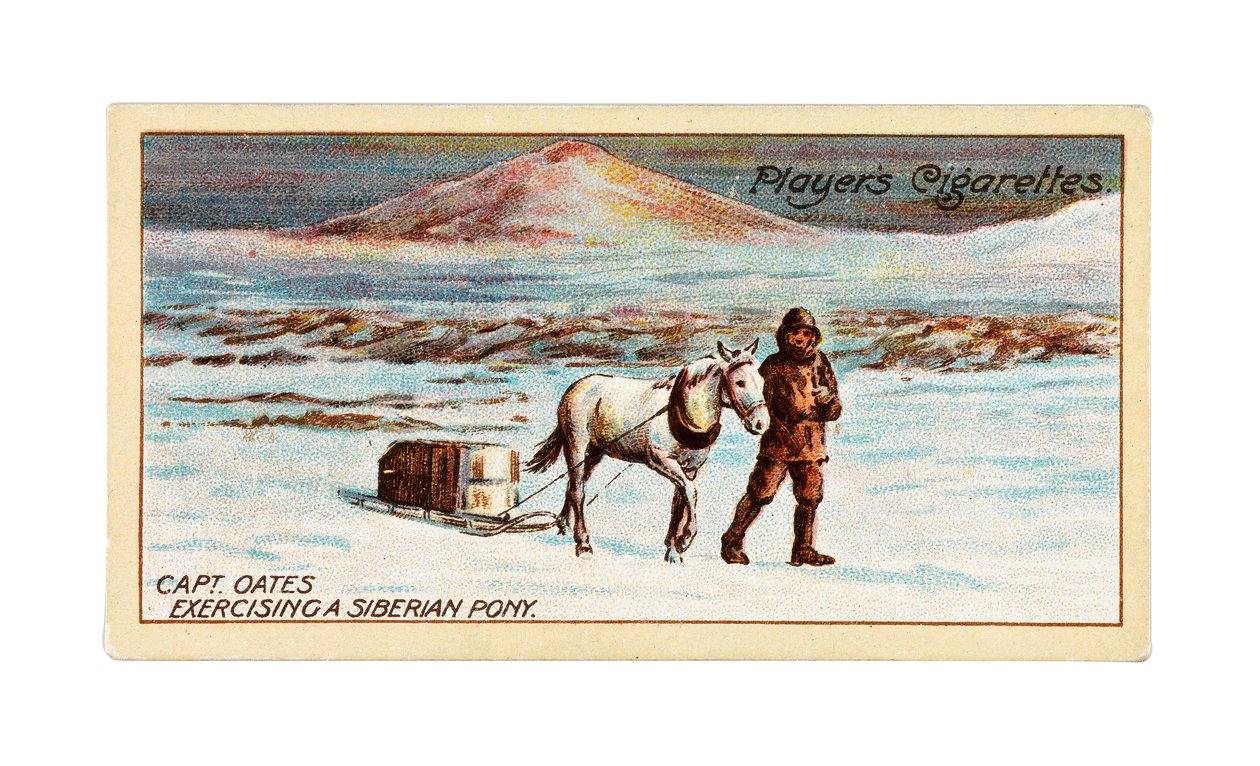 Capt. L.E.G. Oates Exercising a Siberian Pony on the Sea-Ice off Cape Evans by British School