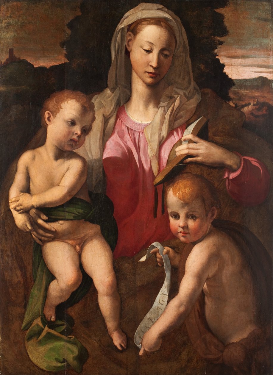 Madonna and Child with St. John the Baptist by Bronzino