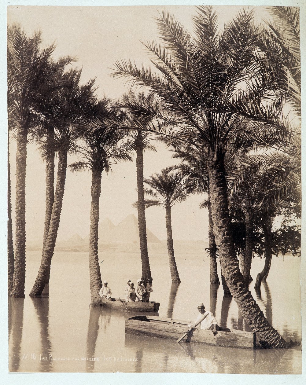 A Palm Grove at the Foot of the Pyramids of Egypt - photograph by the Zangali brothers, late 19th century by Brothers Zangaki