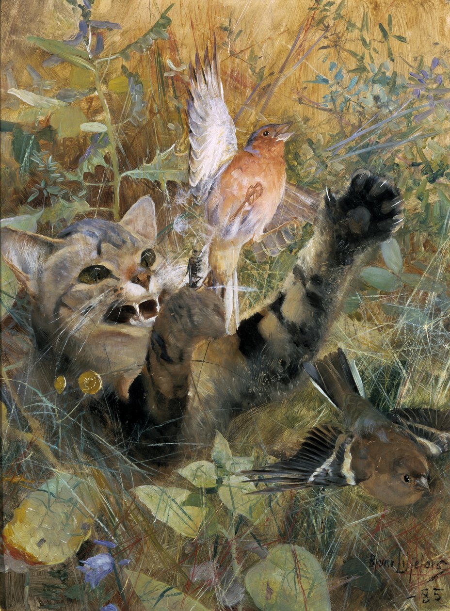 A Cat and a Chaffinch, 1885 by Bruno Andreas Liljefors