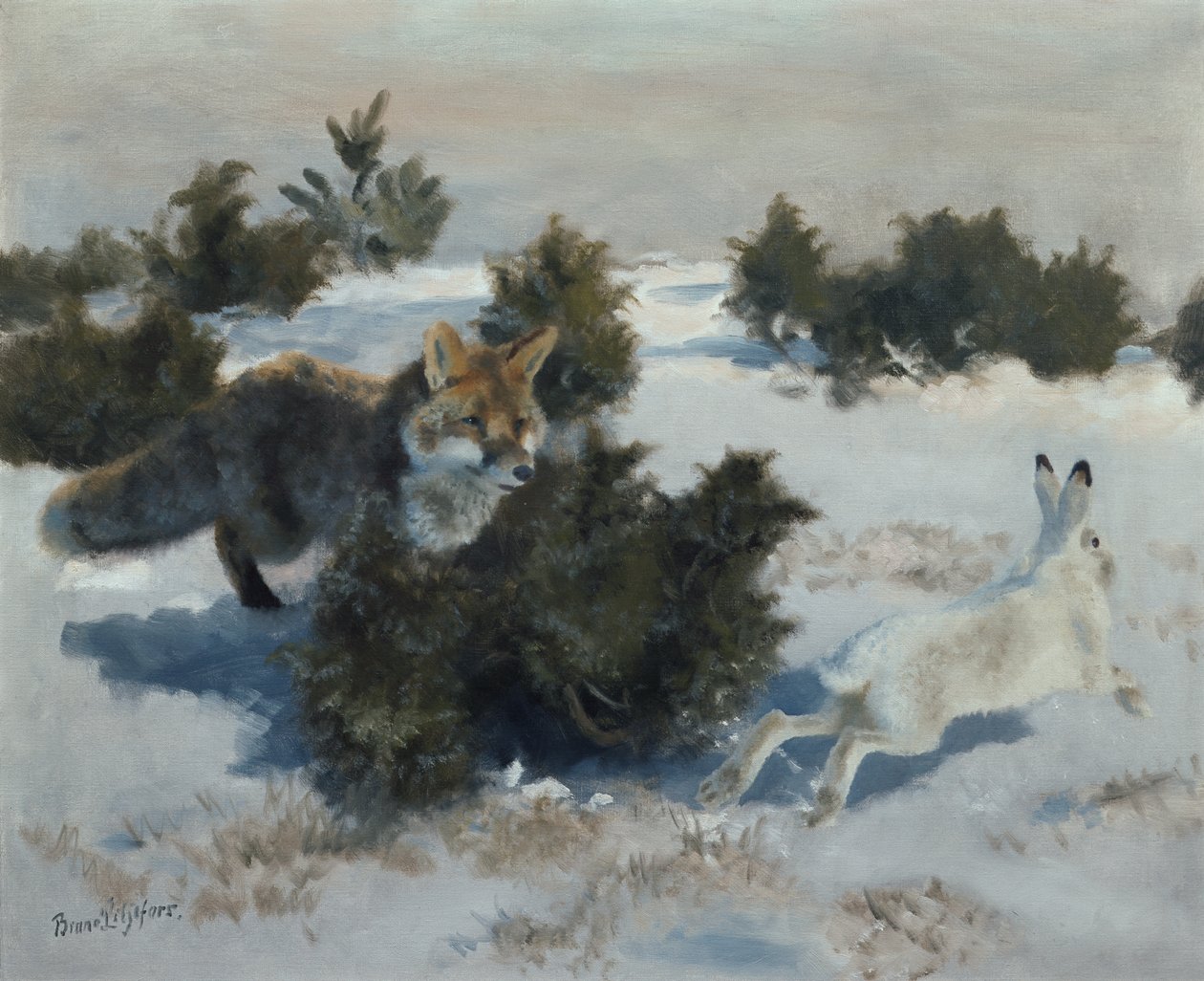 Fox and Hare by Bruno Andreas Liljefors