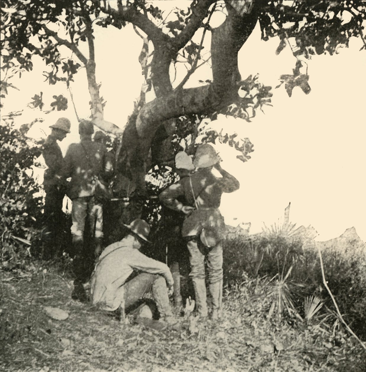Tree from which Captain Paget...Saw...San Juan Battle, Spanish-American War, June 1898, 1899 by Burr McIntosh