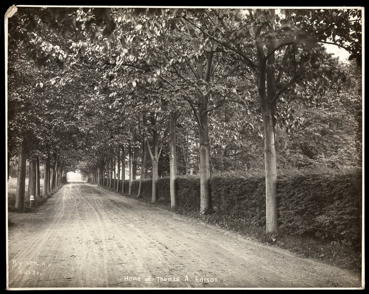 Tree-lined drive at the home of Thomas Edison (1907)