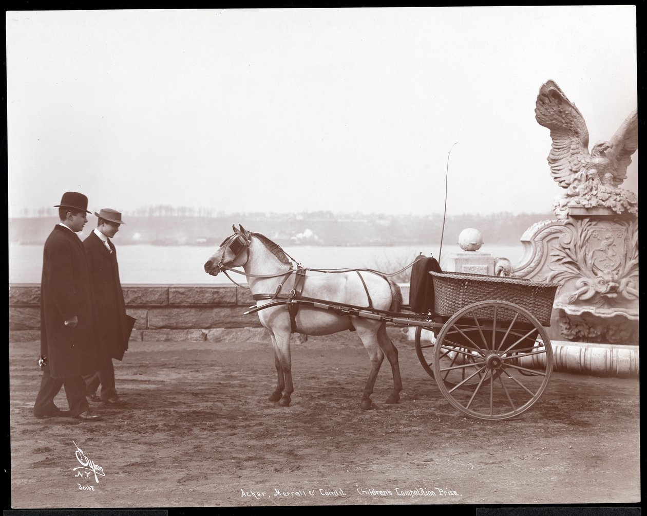Two men, pony and cart, New York, 1910 or 1911 by Byron Company