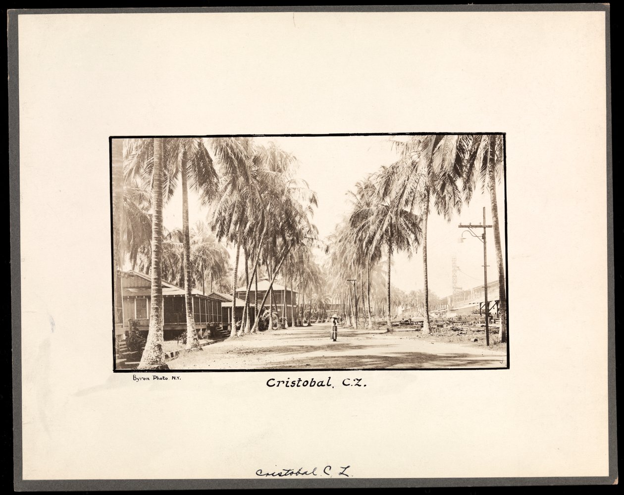 View of a palm tree lined dirt road through Cristobal, Panama, during the construction of the canal, 1912 or 1913 by Byron Company