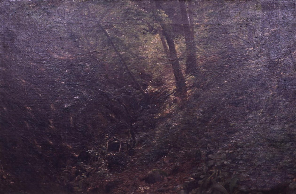 Spring in a Gorge by C.A. Kølle