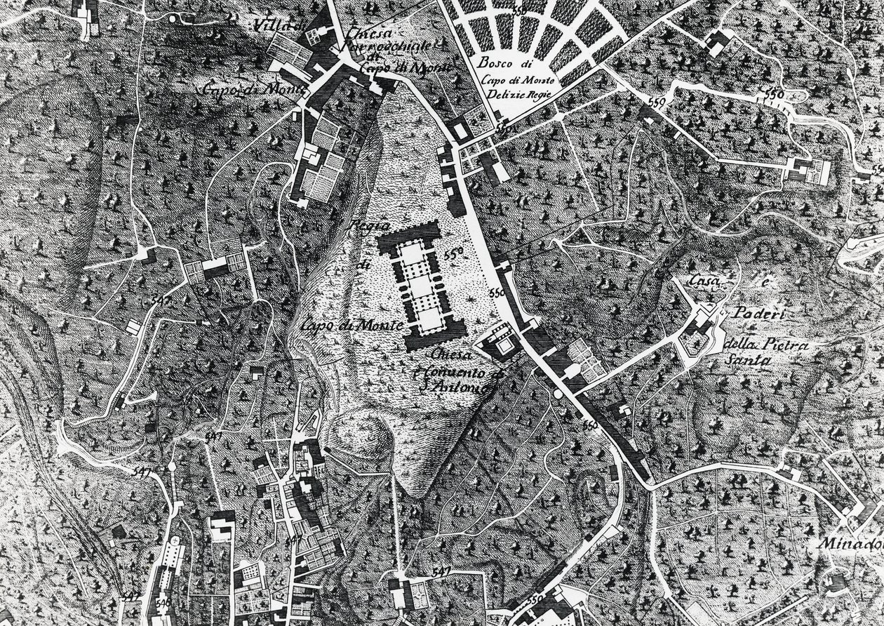 City map of Naples with Capodimonte (detail) by J.B. and Brown J. Rowbotham