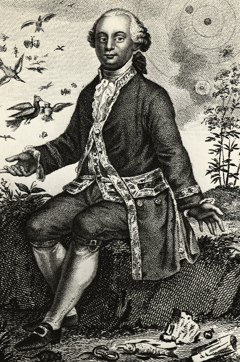 Portrait of Georges-Louis Leclerc de Buffon (1707-1788), French naturalist and mathematician, engraving by J.B. and Brown J. Rowbotham