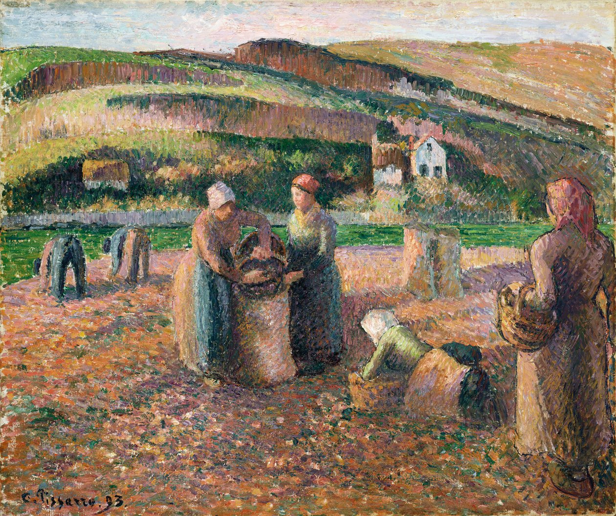 Picking Potatoes by Camille Jacob Pissarro