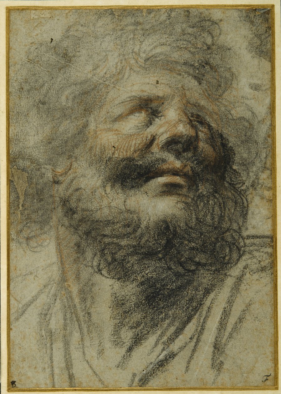 Head of a bearded man, looking up to the right by Camillo Procaccini