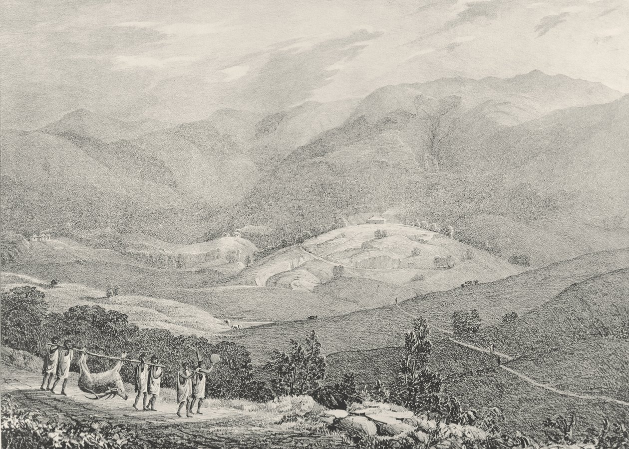 Ottacamund, View of the Great Dodabetta, Neelgherry Mountains, plate 4 from View of the Neilgherries, or Blue Mountains of Coimbetoor, Southern India by Captain McCurdy by Captain E. A. McCurdy