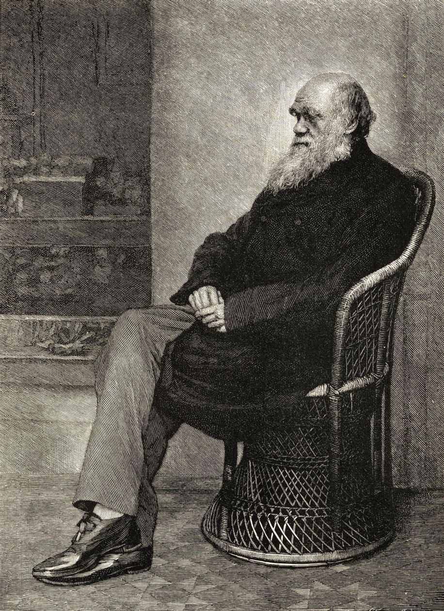 Charles Darwin, illustration from 