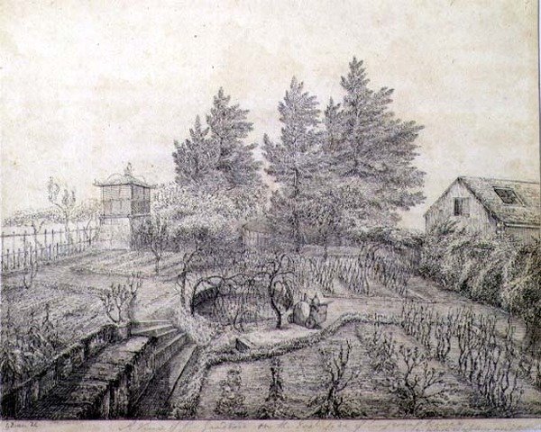 A View of Napoleon I