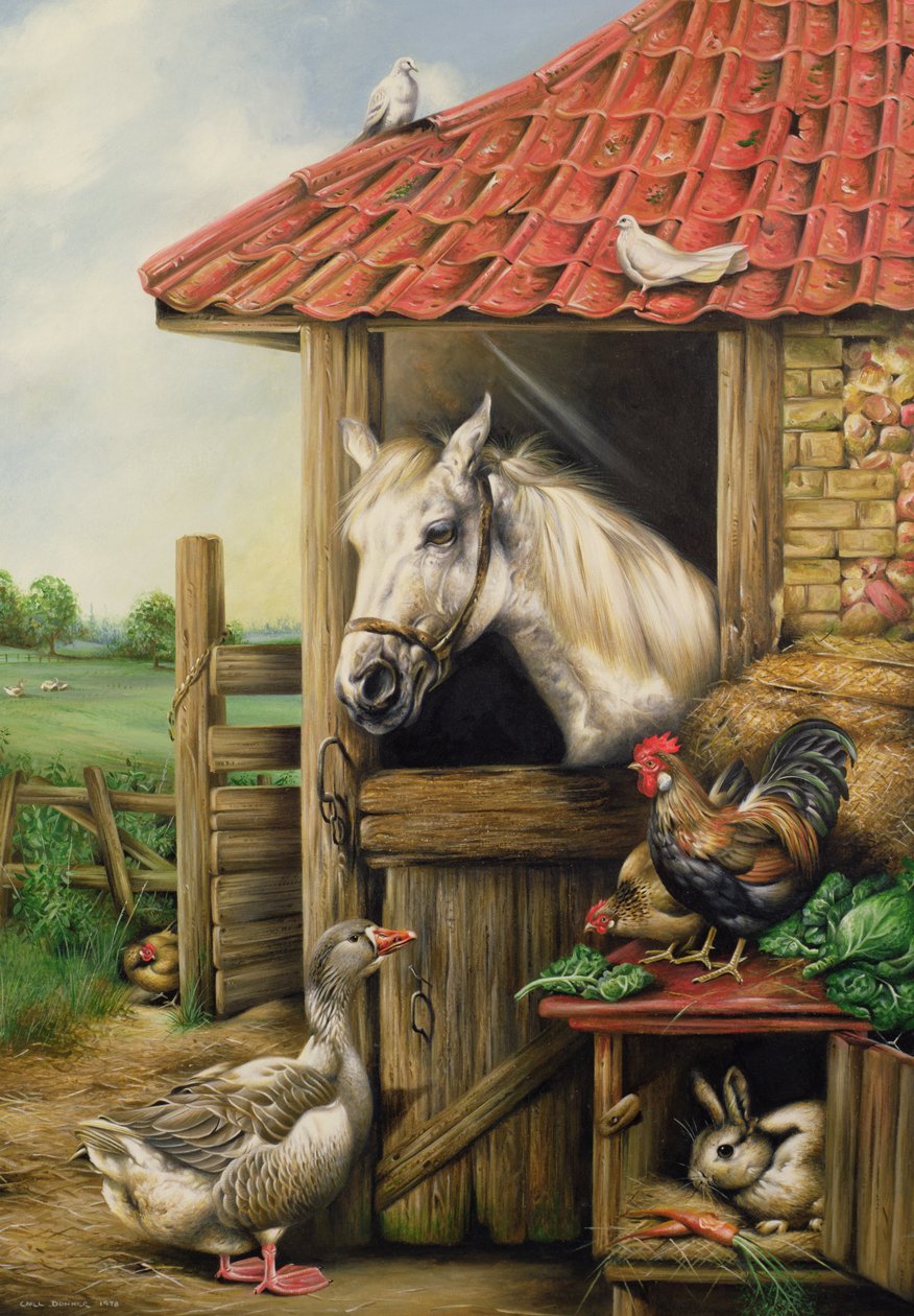 Farmyard Friends by Carl Donner
