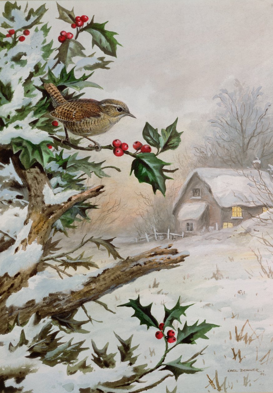 Wren in Hollybush by a cottage by Carl Donner
