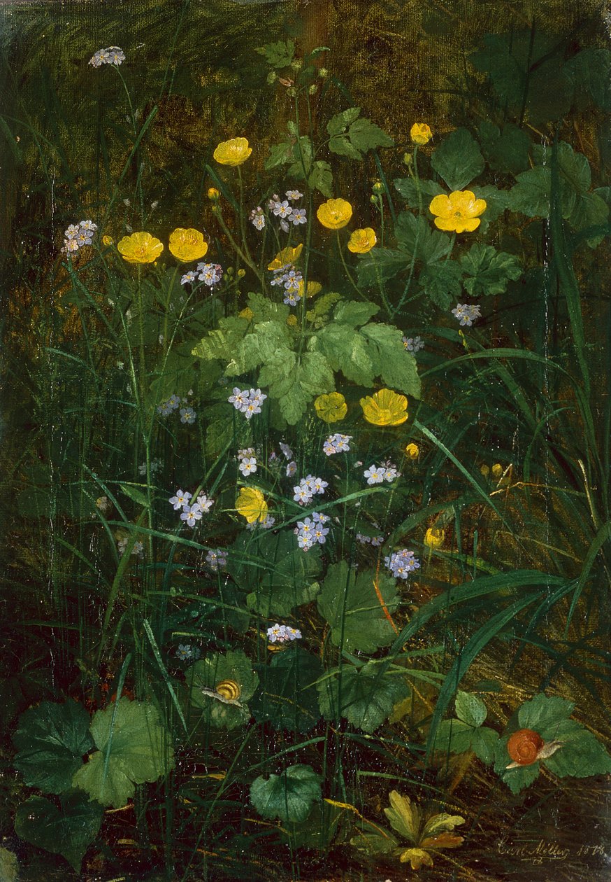 Buttercups and Forget-Me-Nots on a Forest floor by Carl Henrik Koch Moller