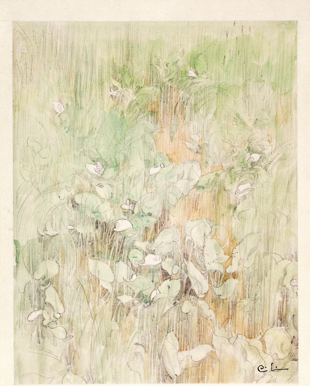 Kallor by Carl Larsson