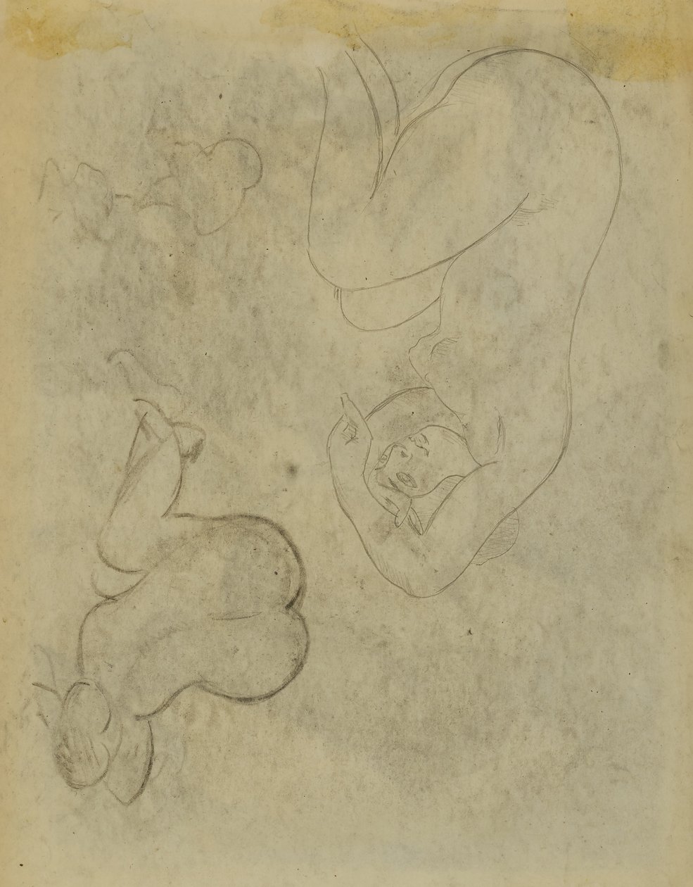 Two Female Figure Studies by Carl Newman