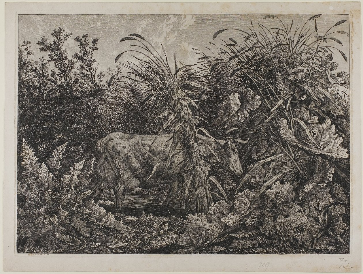 Cow in a Stream by Carl Wilhelm Kolbe the elder