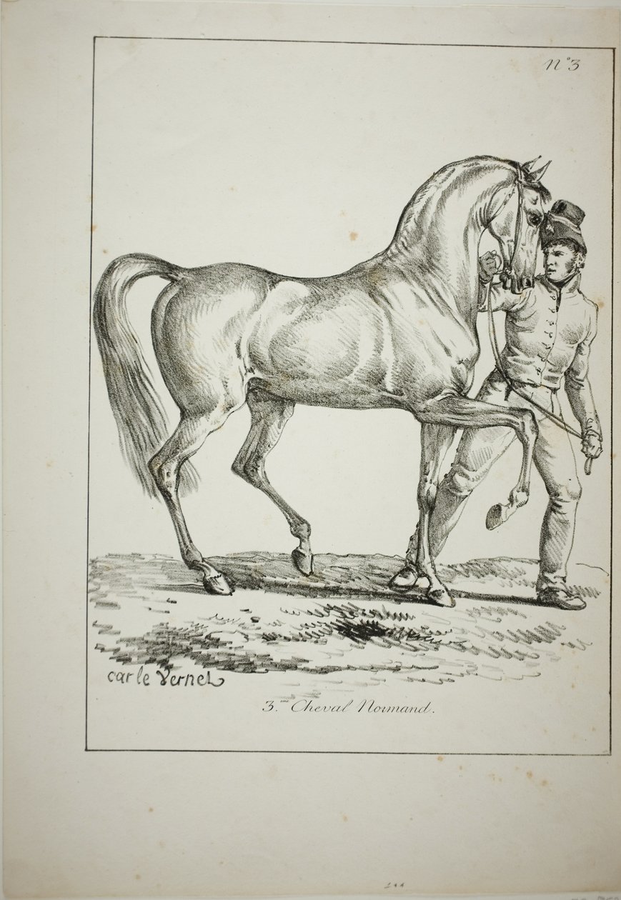 Royal Guard, Norman Cavalier, not in Full Dress, and Horse, No. 3 by Carle Vernet