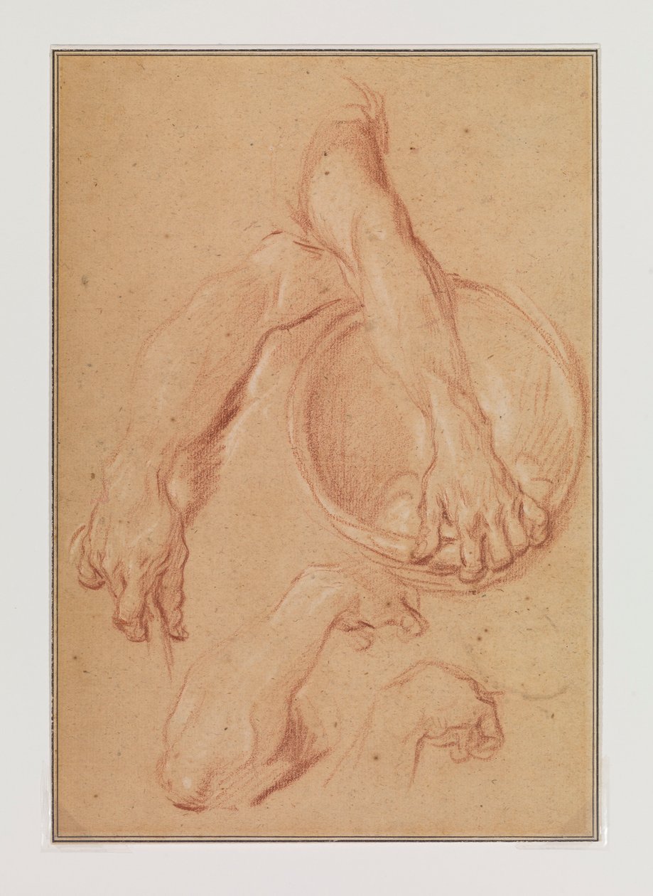 Studies of an Arm by Carle van Loo