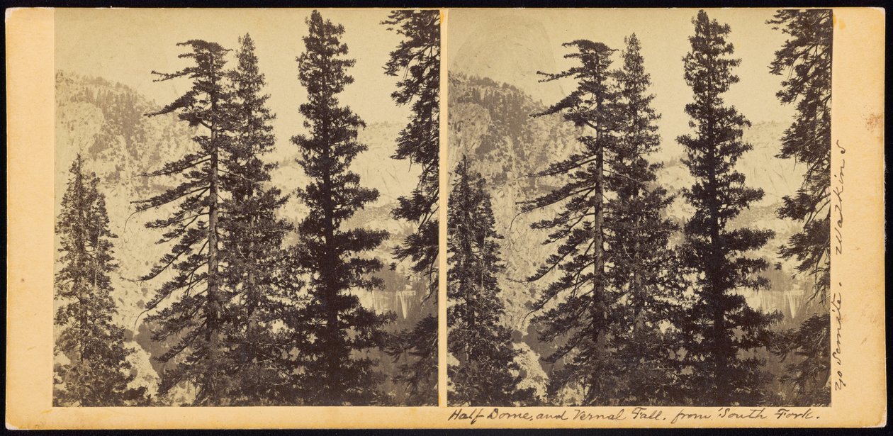 Half Dome and Vernal Fall from South Fork by Carleton E. Watkins
