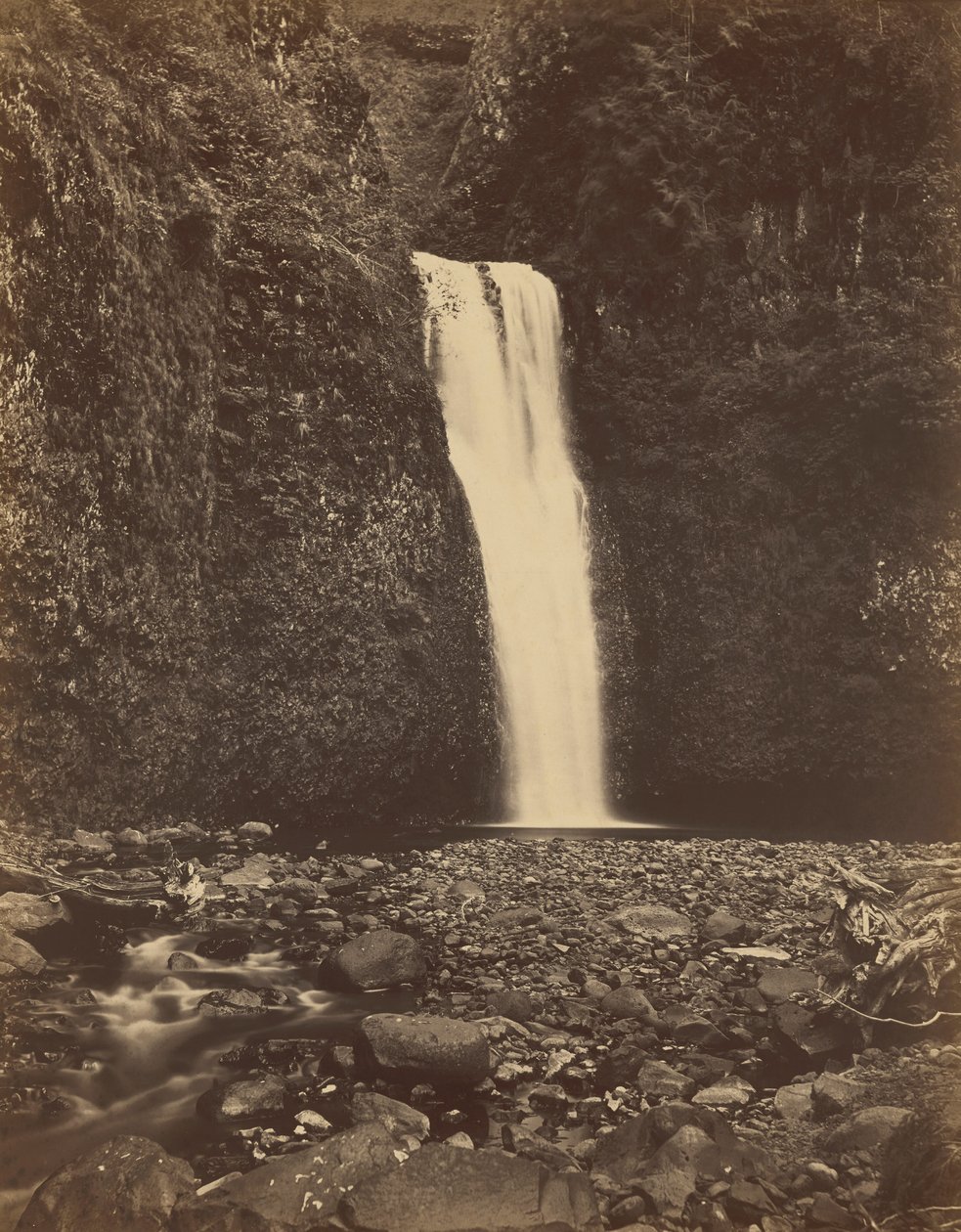 Lower Multnomah Falls, Columbia River, 1867 by Carleton Emmons Watkins
